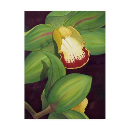Jason Higby 'Lime Orchid Ii' Canvas Art,18x24